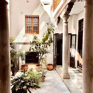 Charming Spacious Albayzin , Granada Spain
